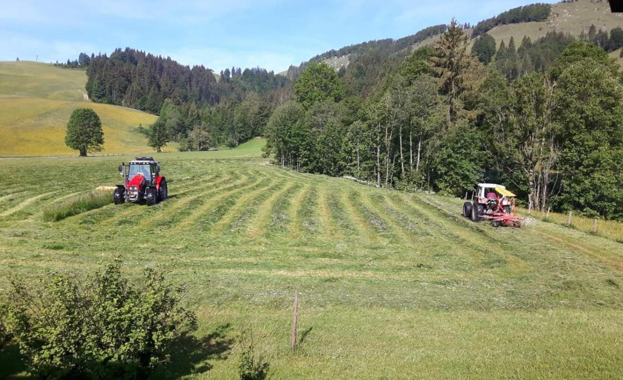 Ferienwohnungen Foidlhof Hochfilzen Bagian luar foto