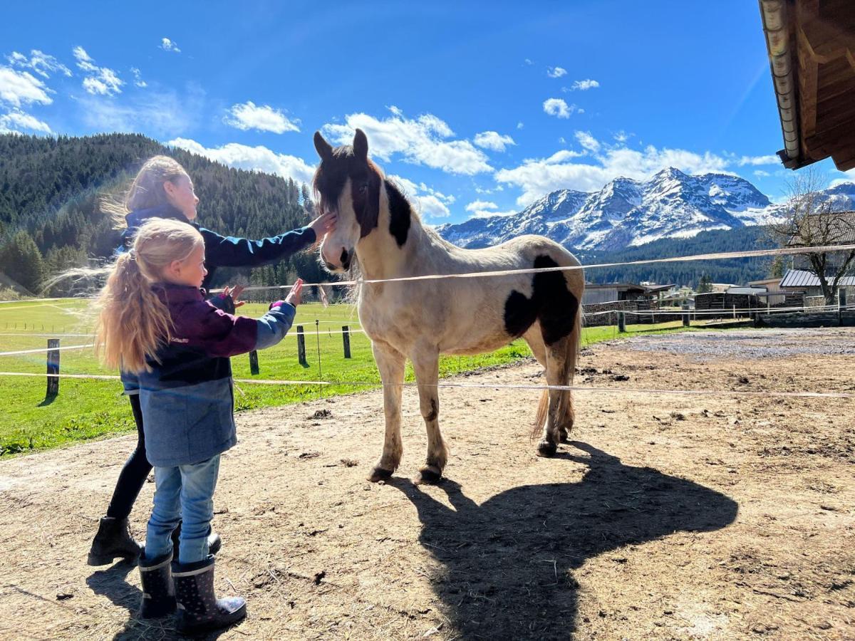 Ferienwohnungen Foidlhof Hochfilzen Bagian luar foto