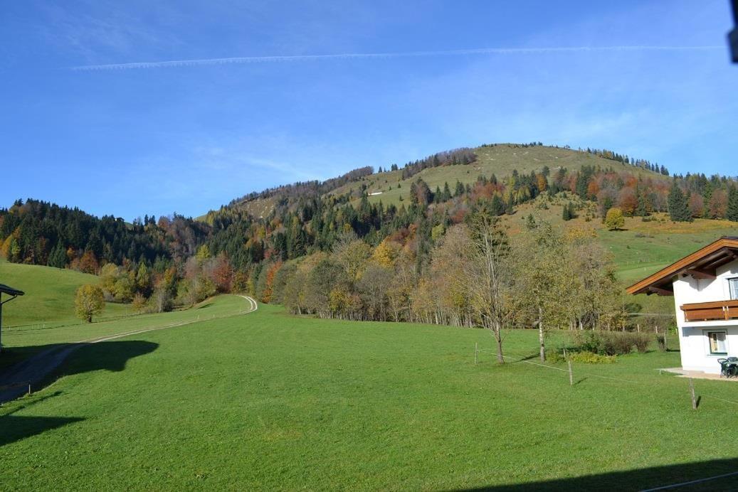 Ferienwohnungen Foidlhof Hochfilzen Bagian luar foto